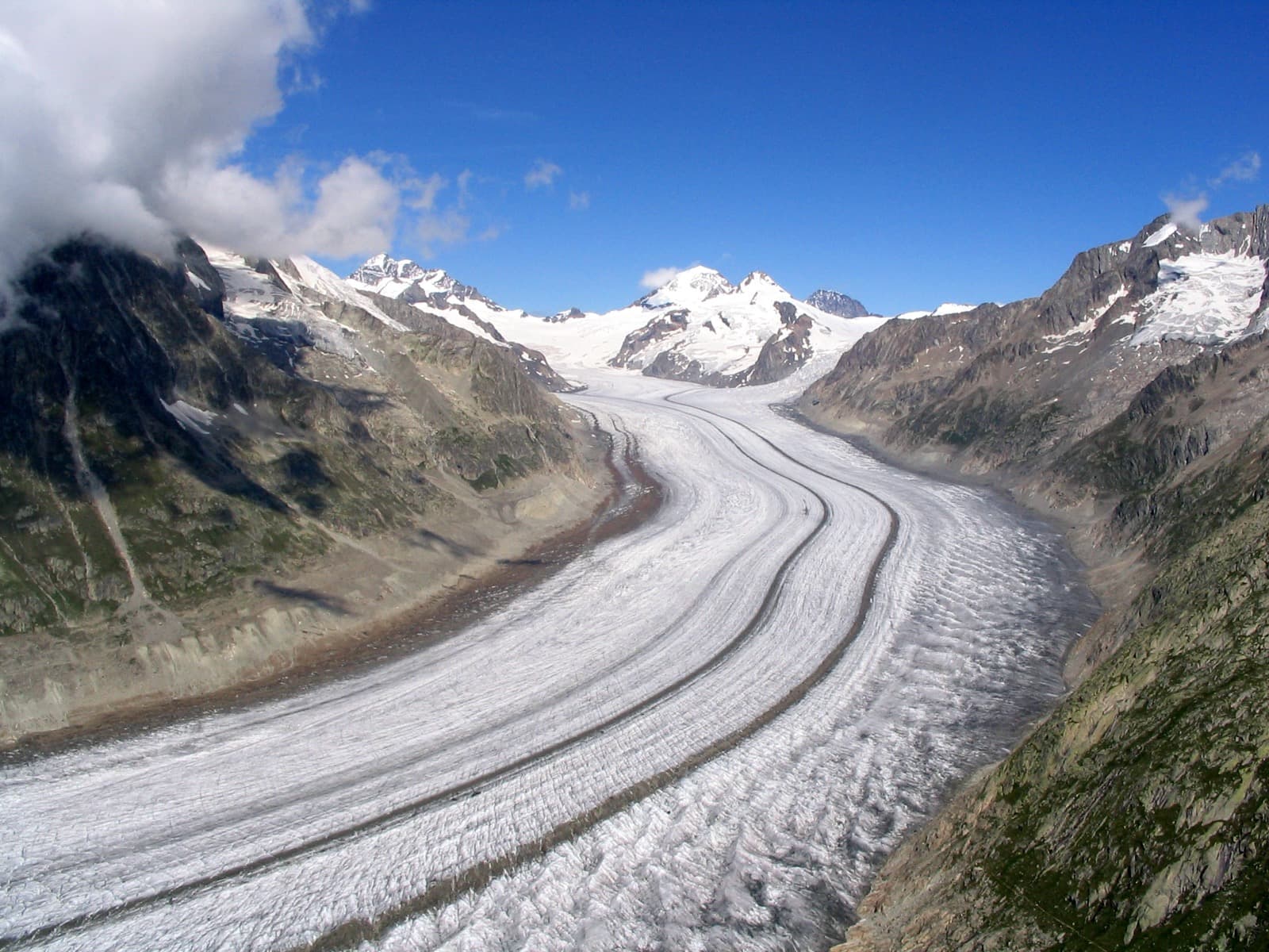 The sweeping ice tongue of the Great Aletsch Glacier winding through alpine peaks