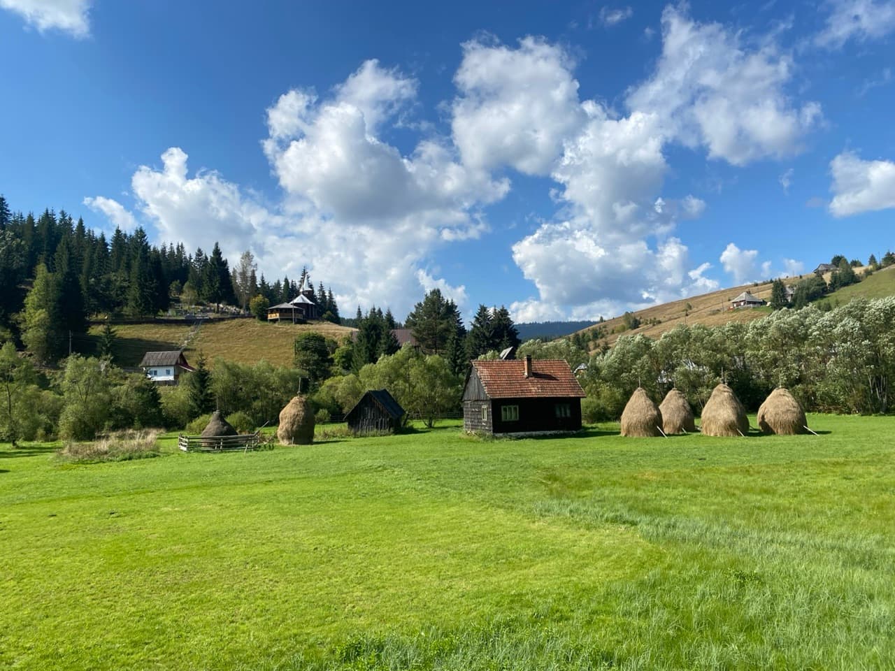 Rolling green meadows, spruce forests and traditional wooden farmsteads in the Apuseni Mountains of Transylvania