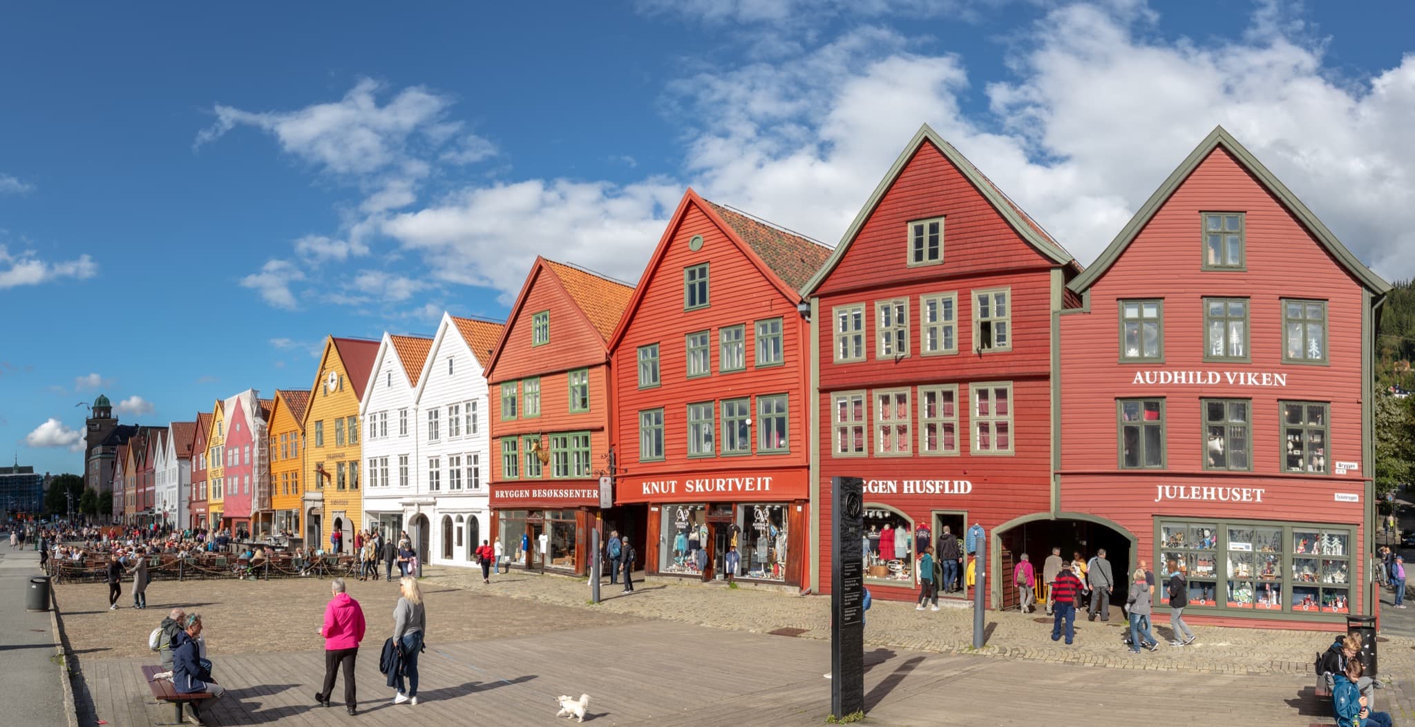 Historic colourful timber merchant houses of Bryggen along the harbour in Bergen
