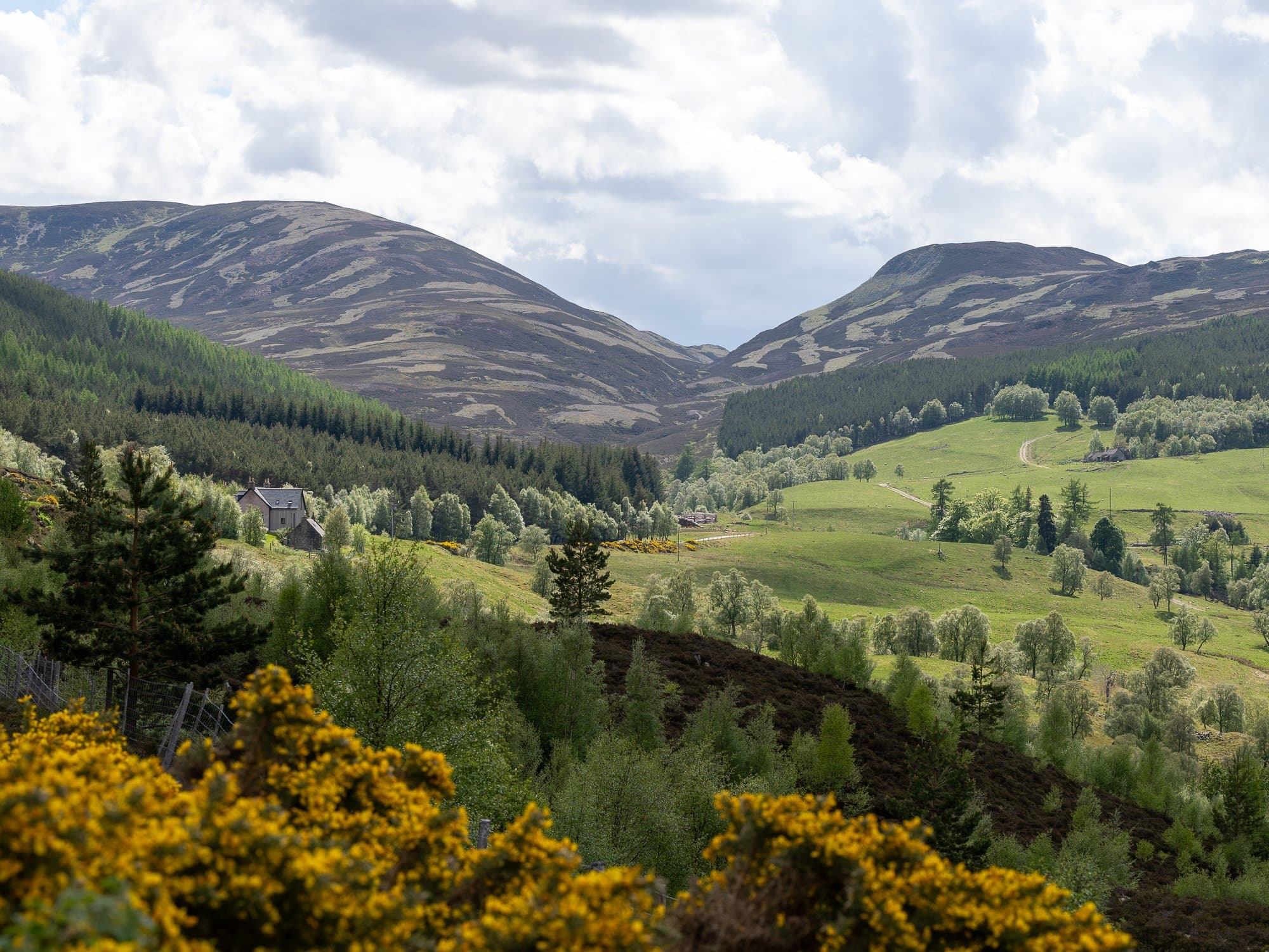 The Cairngorm mountains and forests in northern Scotland