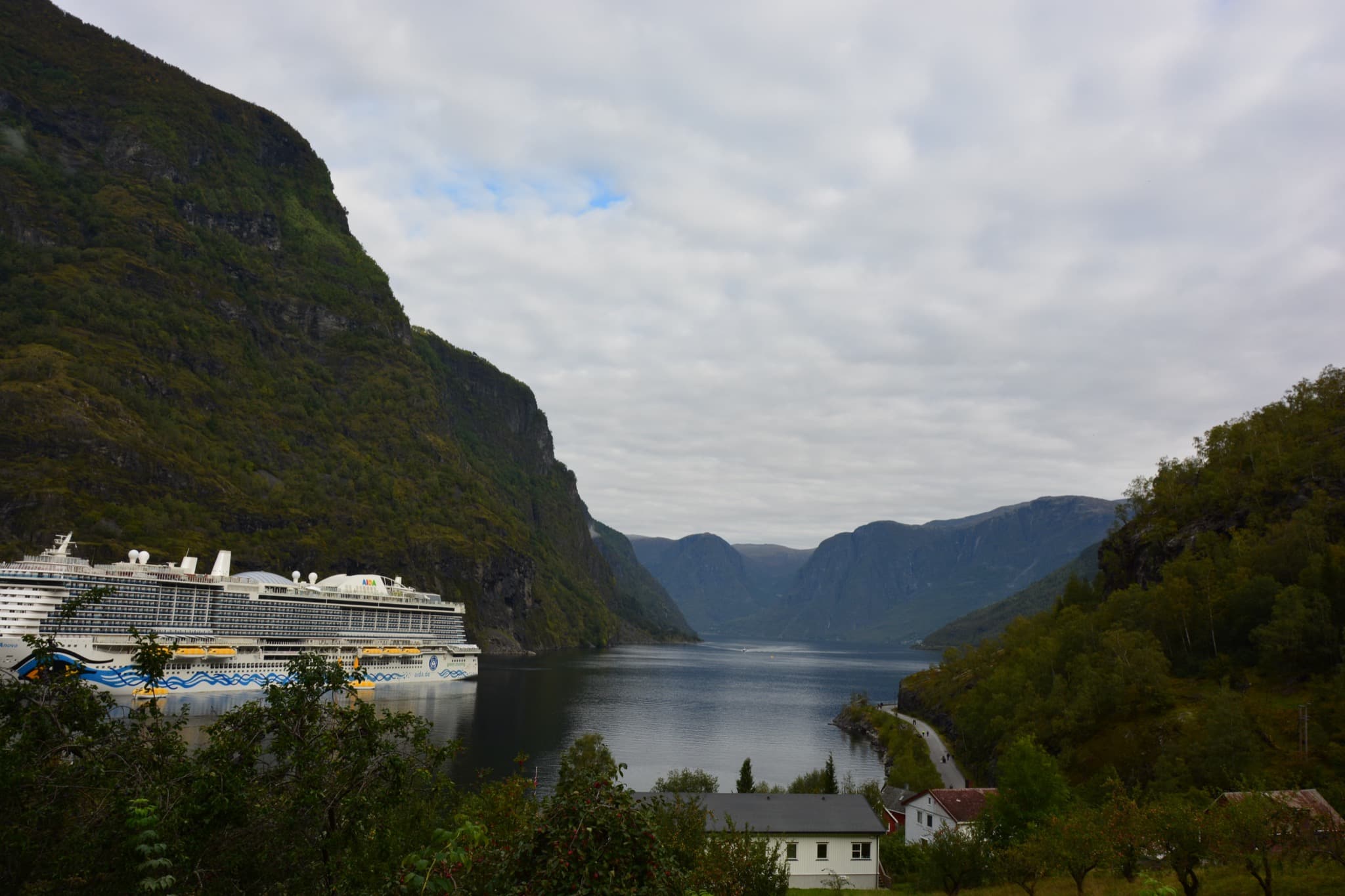 Steep verdant fjord walls and calm emerald waters of Aurlandsfjord viewed from Stegastein near Flåm