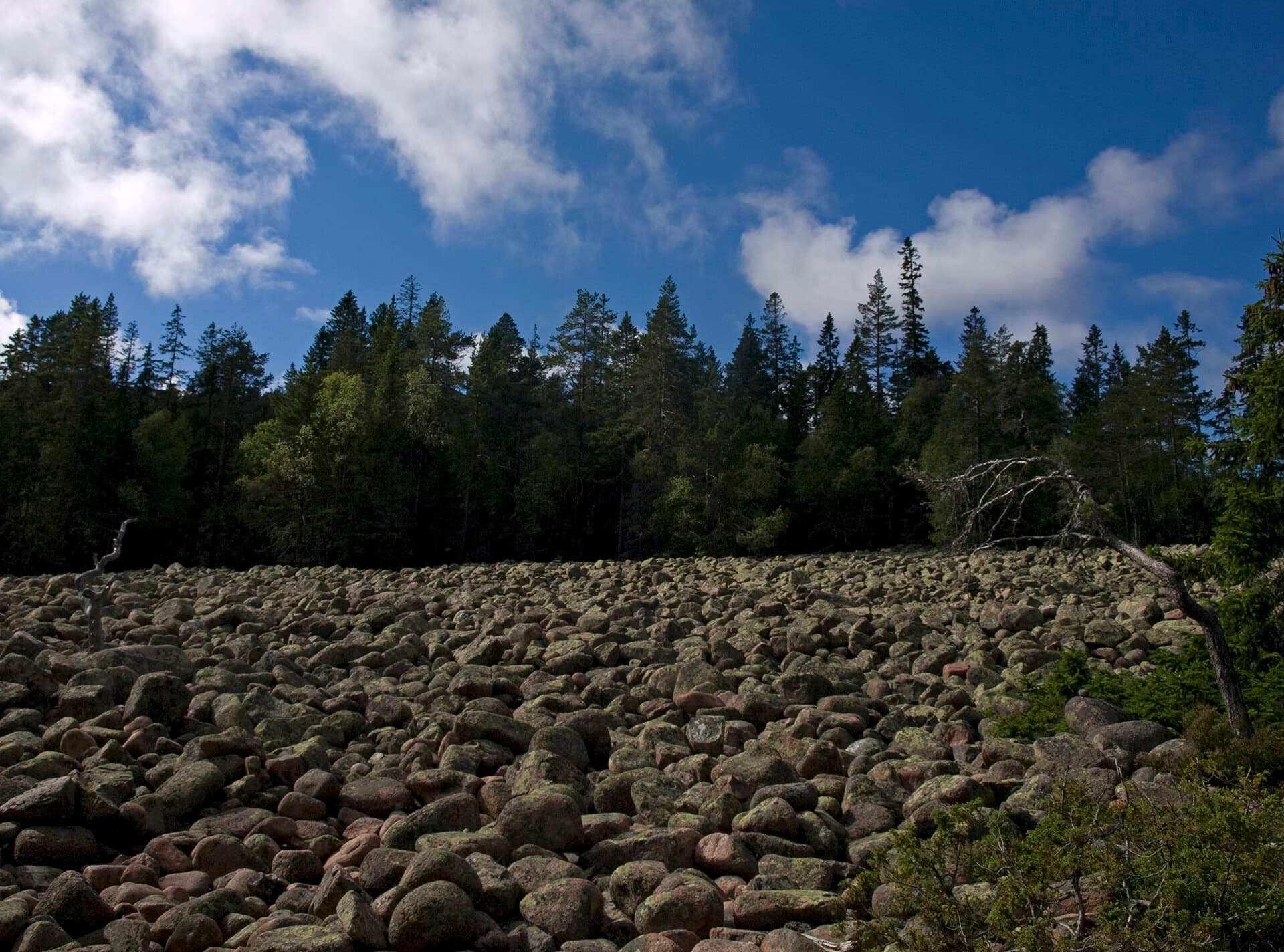 Panoramic red granite cliffs and deep blue pine-fringed inlets of the High Coast in Sweden