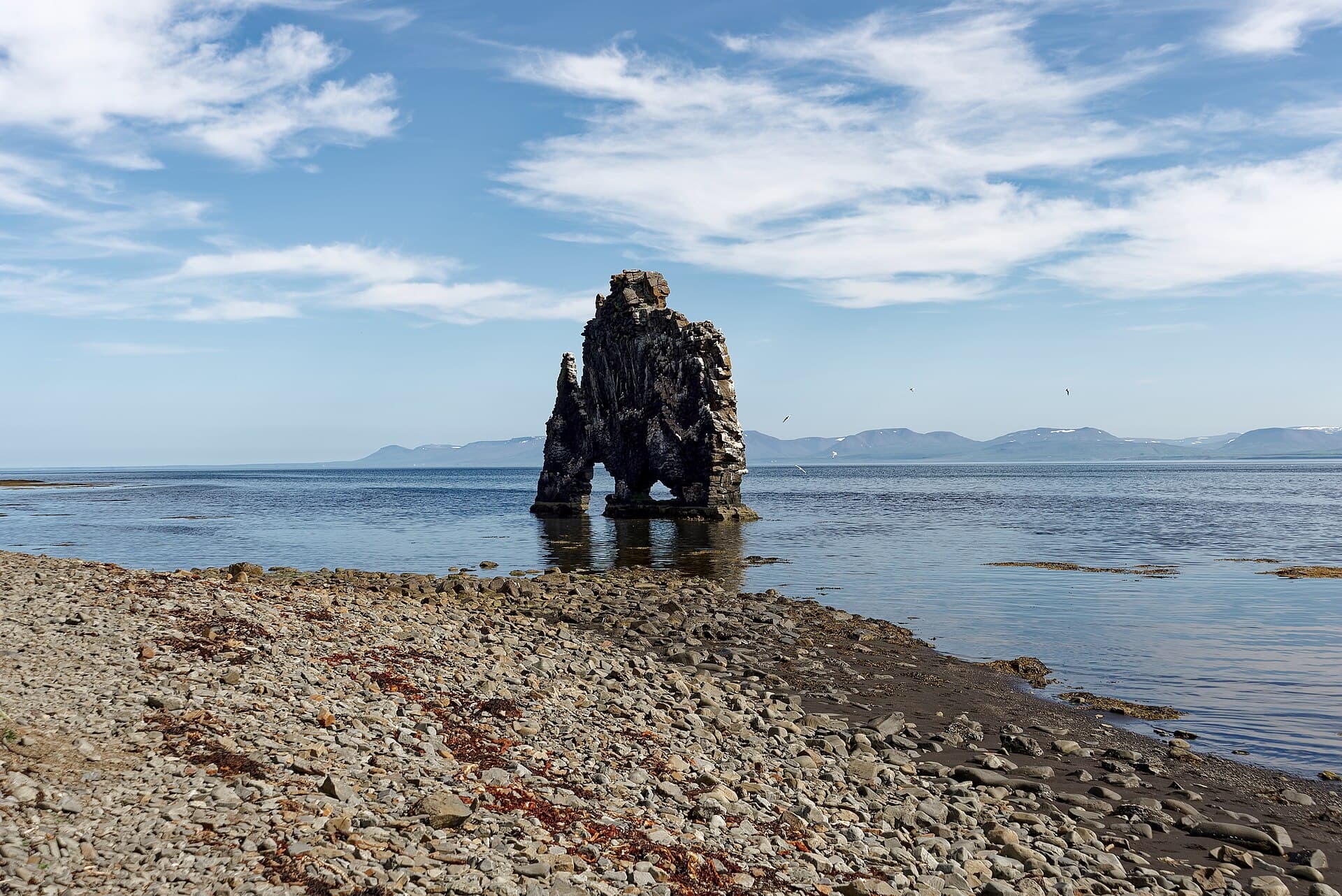The dramatic 15-meter volcanic sea stack monolith of Hvítserkur rising from the black sand beach on the Vatnsnes peninsula