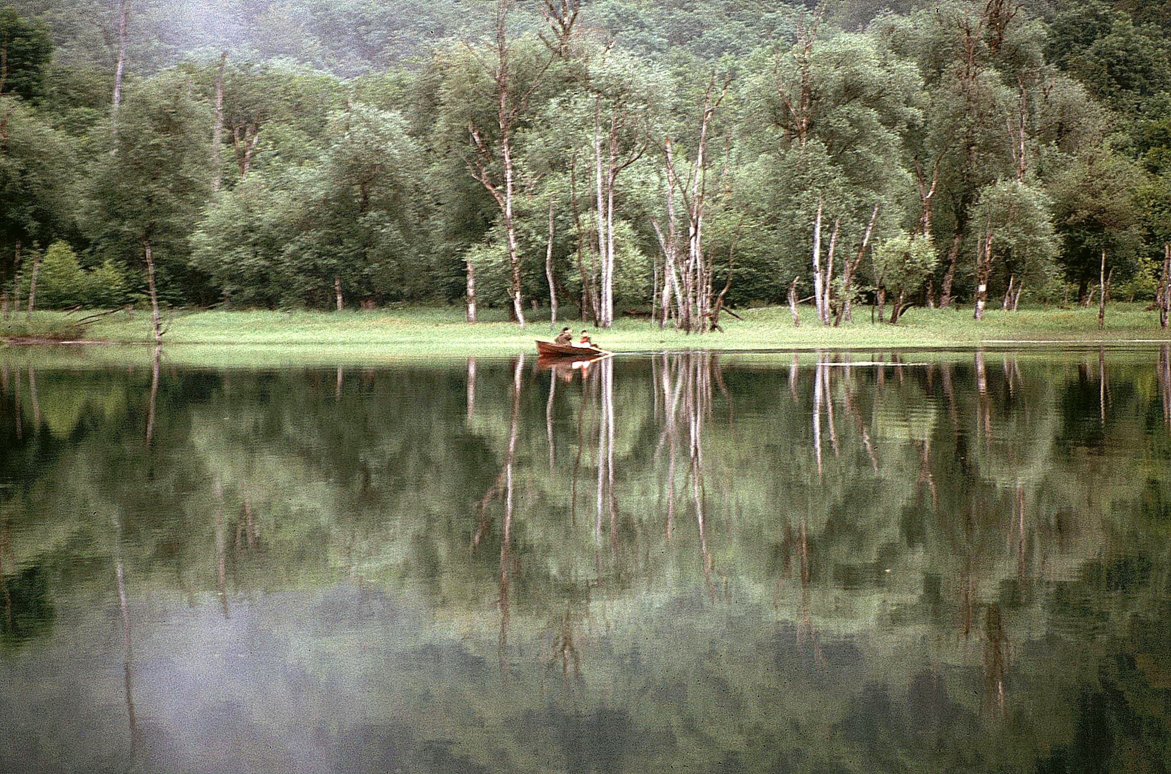 Quiet emerald glacial lake surrounded by the dense virgin rainforest of Biogradska Gora National Park