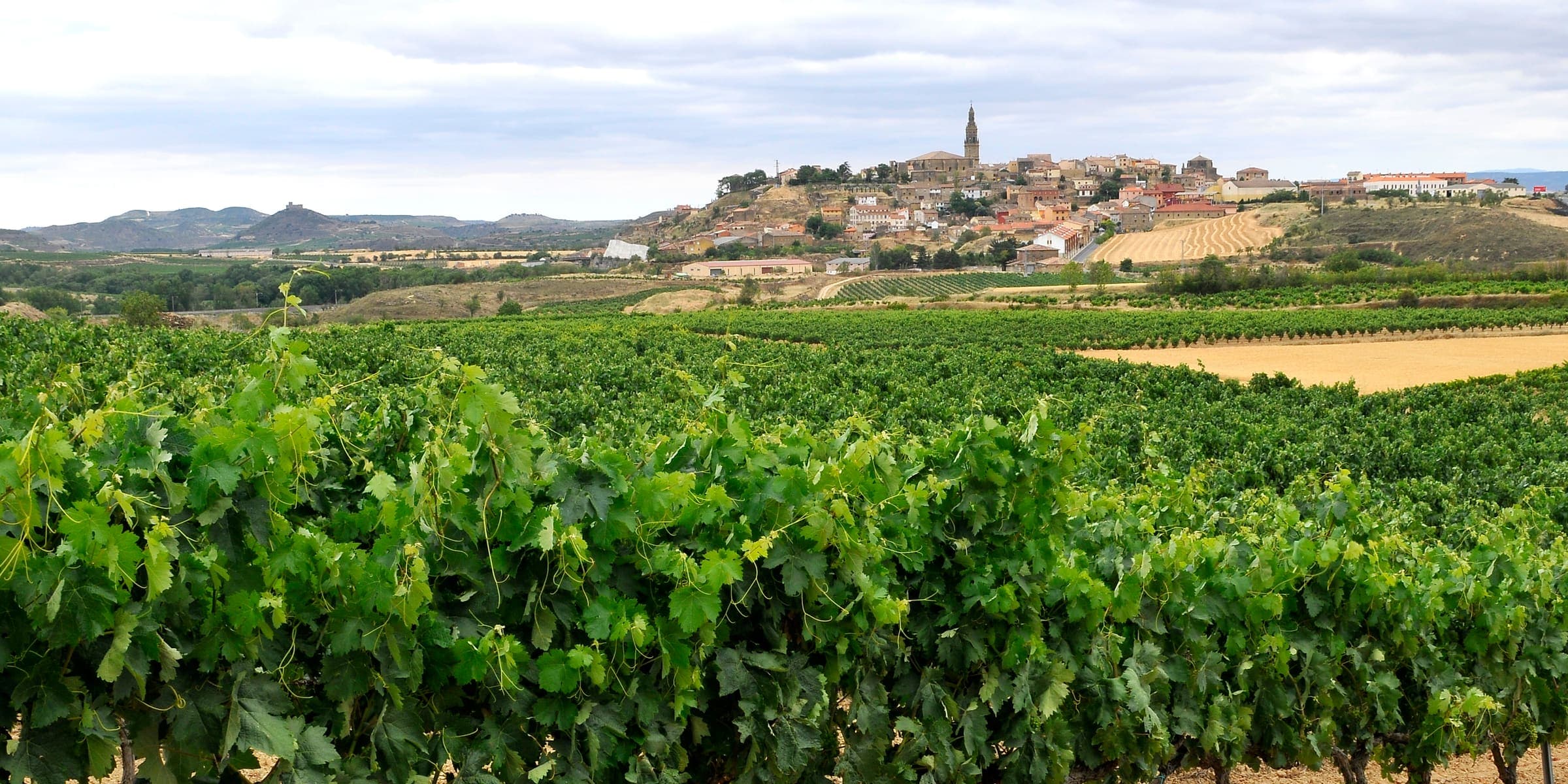 Vineyards below the hilltop village of Briones in La Rioja