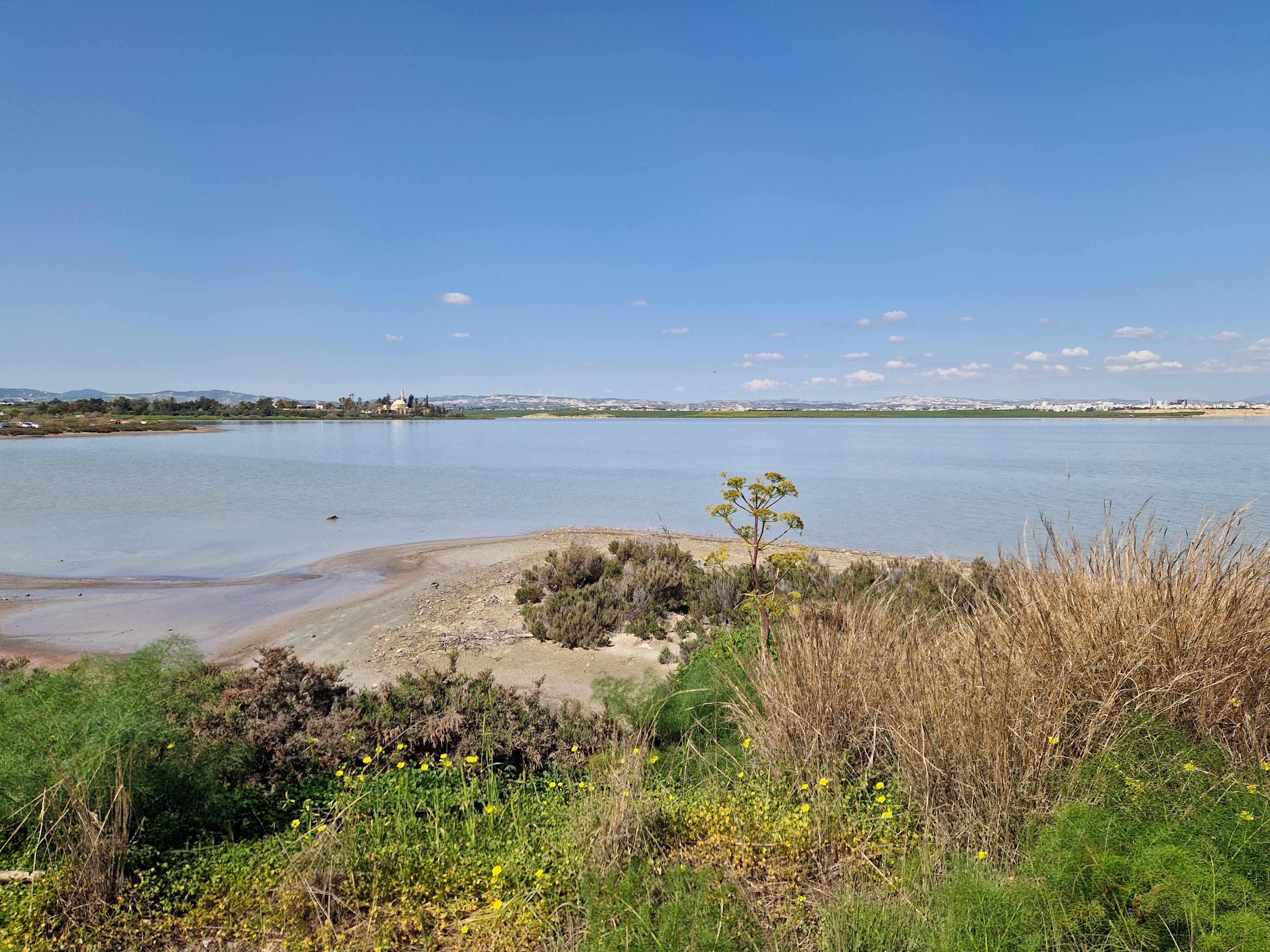 Hala Sultan Tekke beside Larnaca Salt Lake