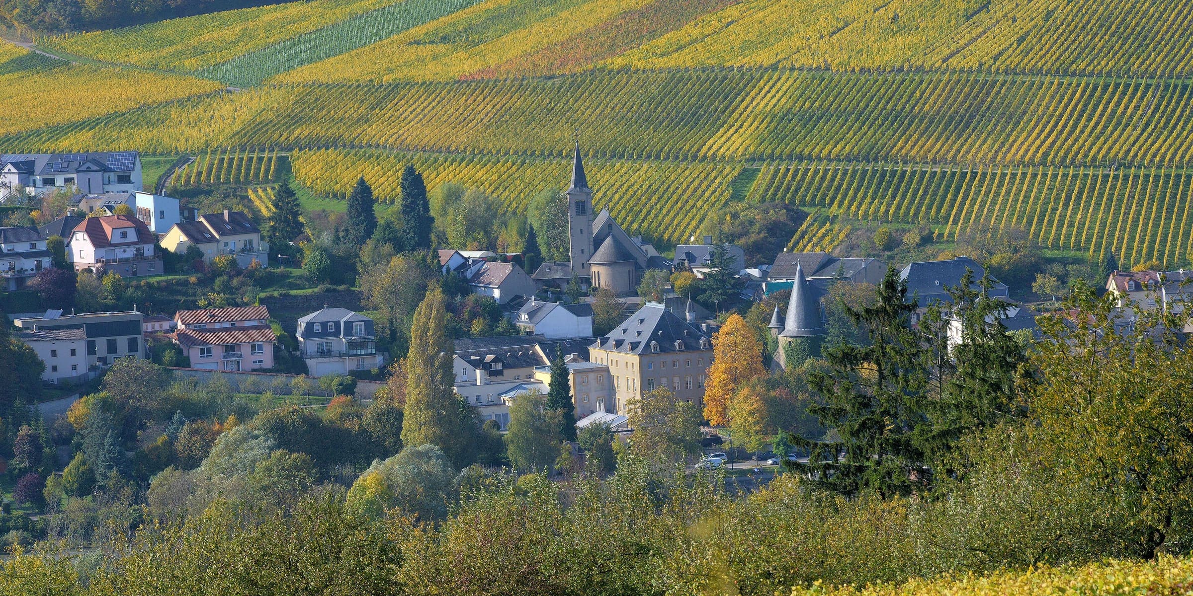 Autumn vineyards above the village of Schengen on the Moselle
