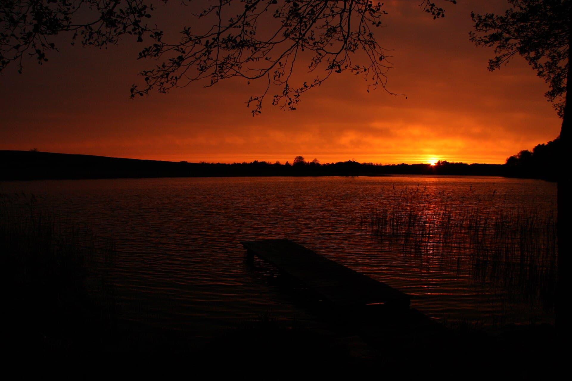 Tranquil open water and reed beds across the Great Masurian Lakes