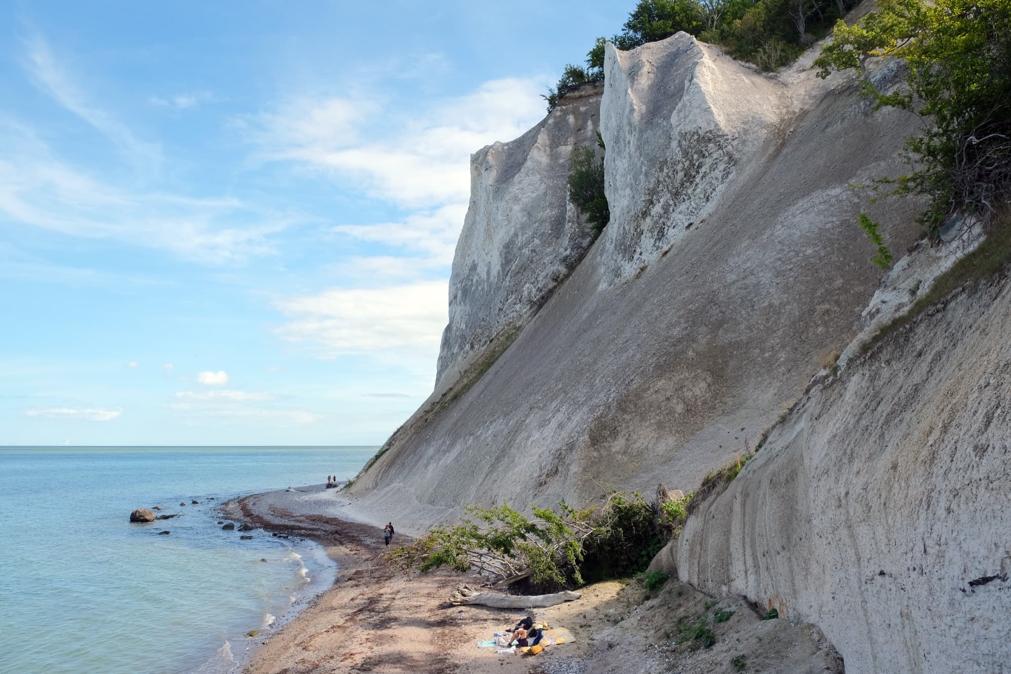 Towering white chalk cliffs of Møns Klint plunging into turquoise Baltic waters