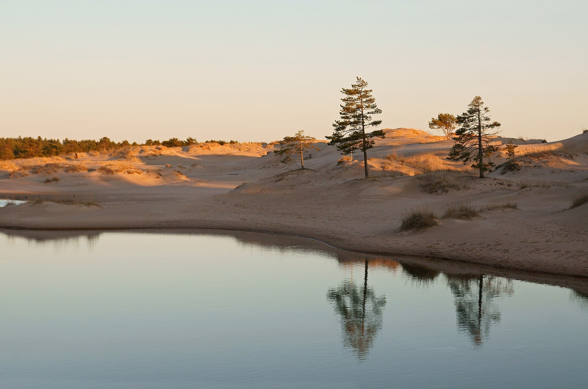 Sweeping fine sand dunes and pine forest boardwalks along the Yyteri coast near Pori