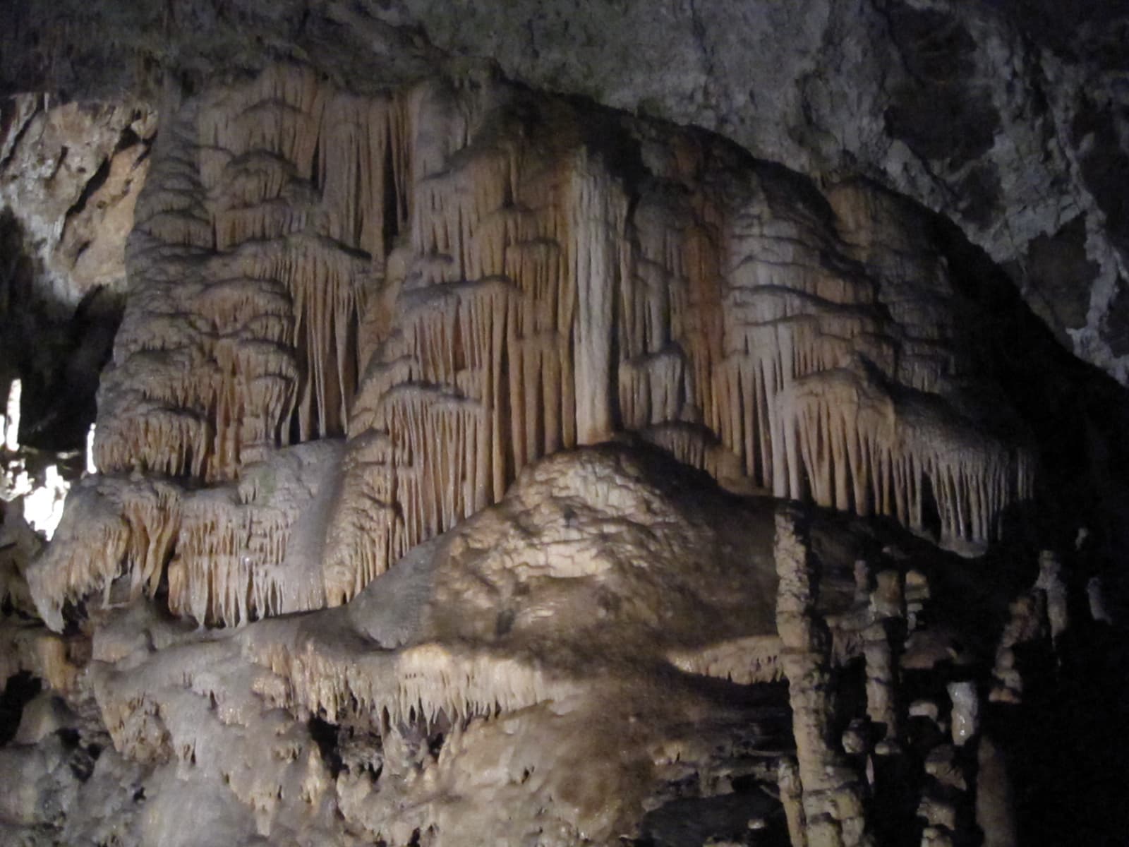 Illuminated white stalactites and towering stalagmites inside the cavernous halls of Postojna Cave