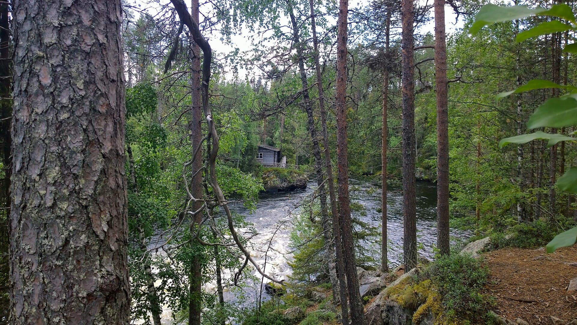Historic wooden watermill and foaming river rapids of Myllykoski on the Karhunkierros trail in Oulanka National Park