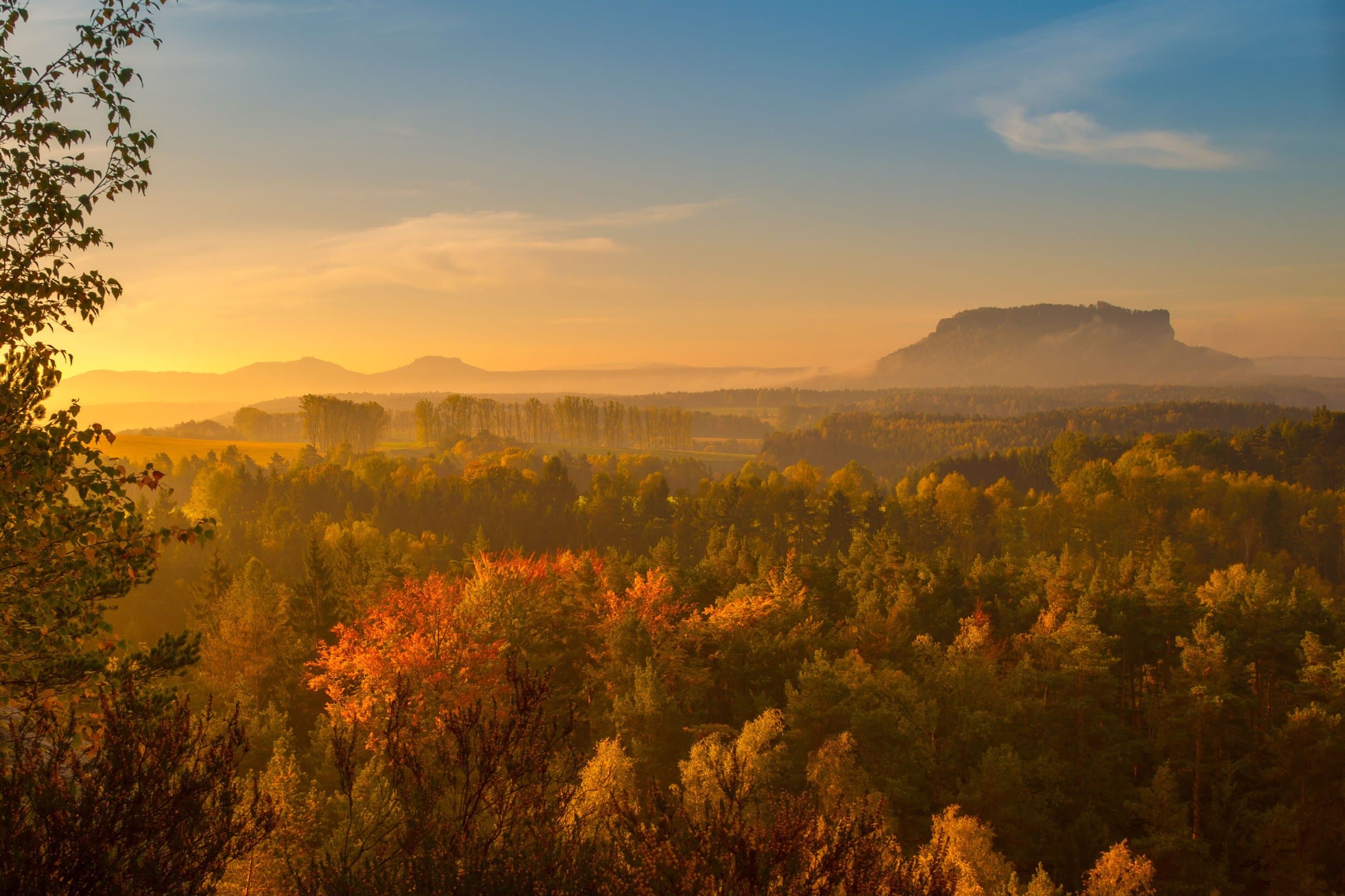 Sandstone formations above the Elbe in Saxon Switzerland