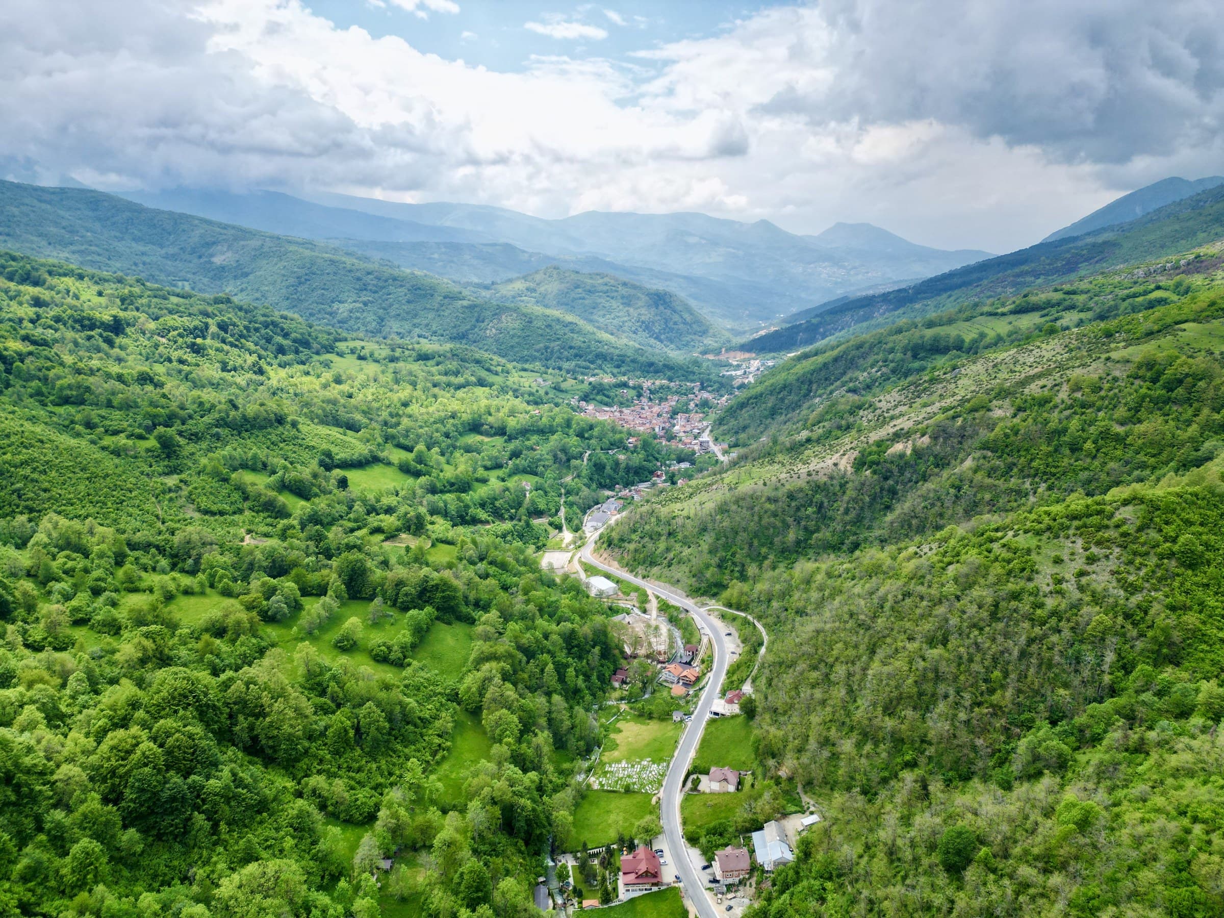 Open ridges and conifer stands of the Šar Mountains above the Brezovica slopes