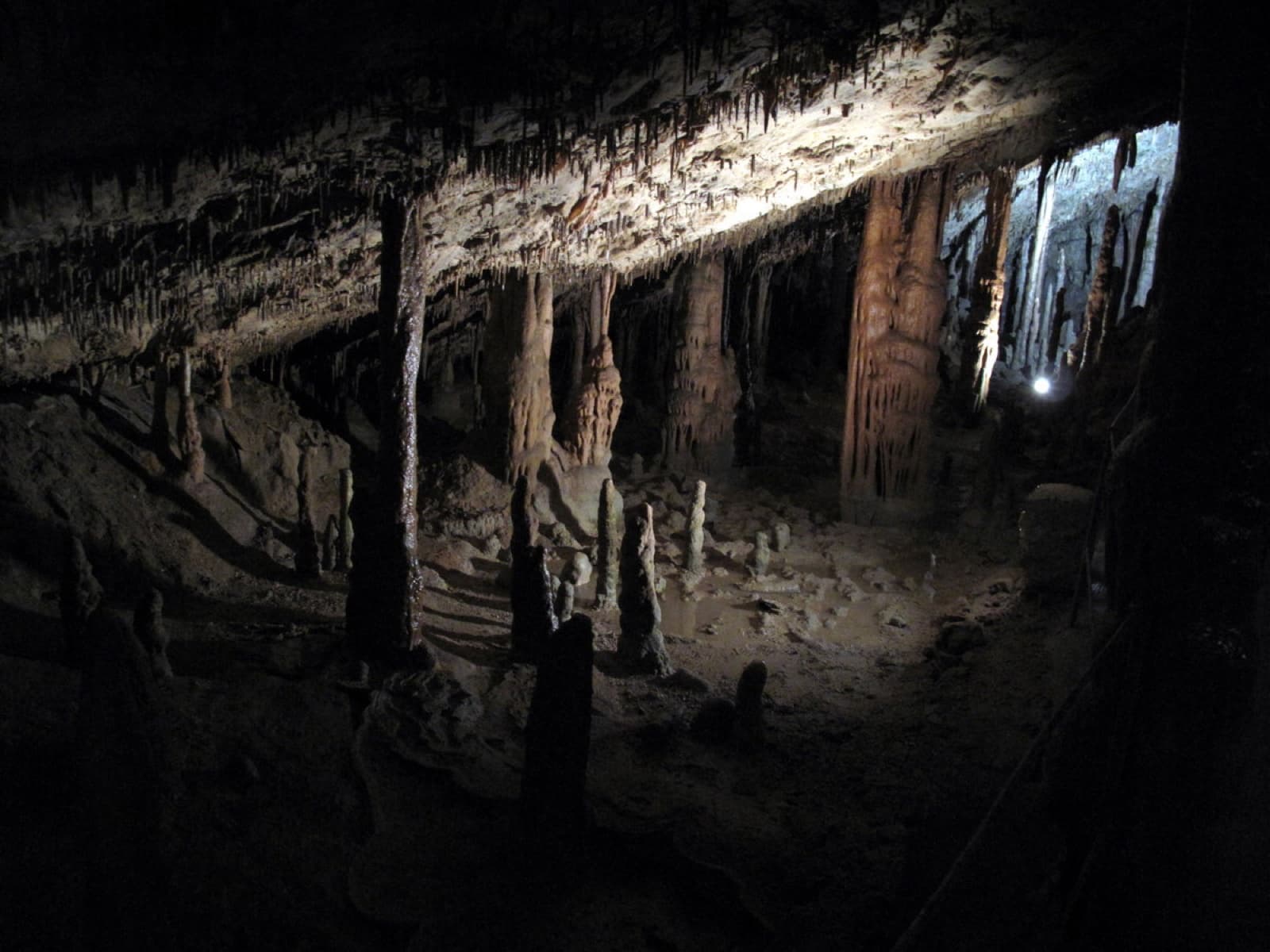 The immense, cathedral-like underground canyon of Škocjan Caves with footpaths clinging to sheer limestone walls above the roaring Reka River