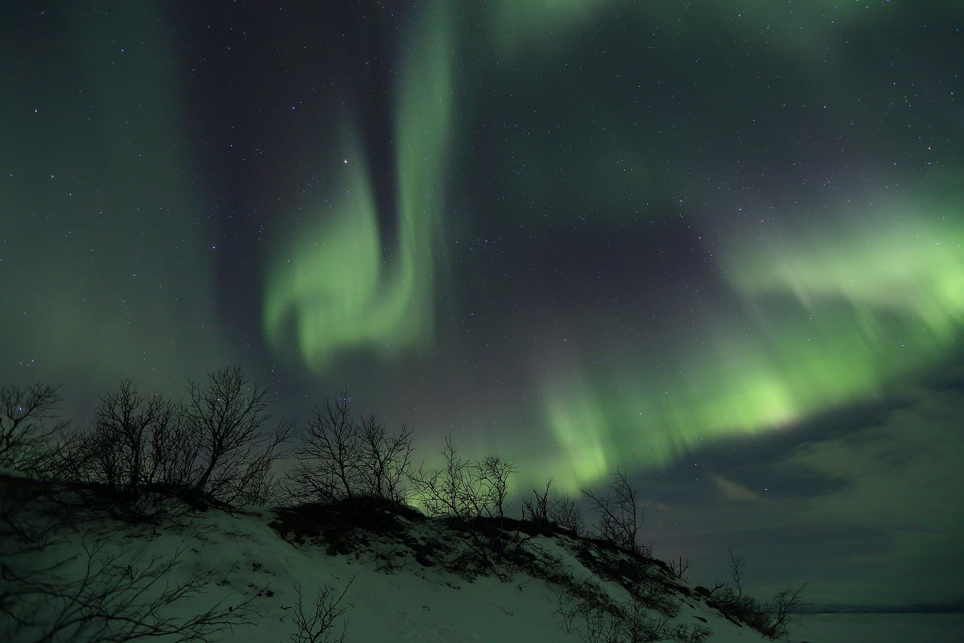 Vibrant emerald green northern lights undulating over snow-covered mountains in Swedish Lapland