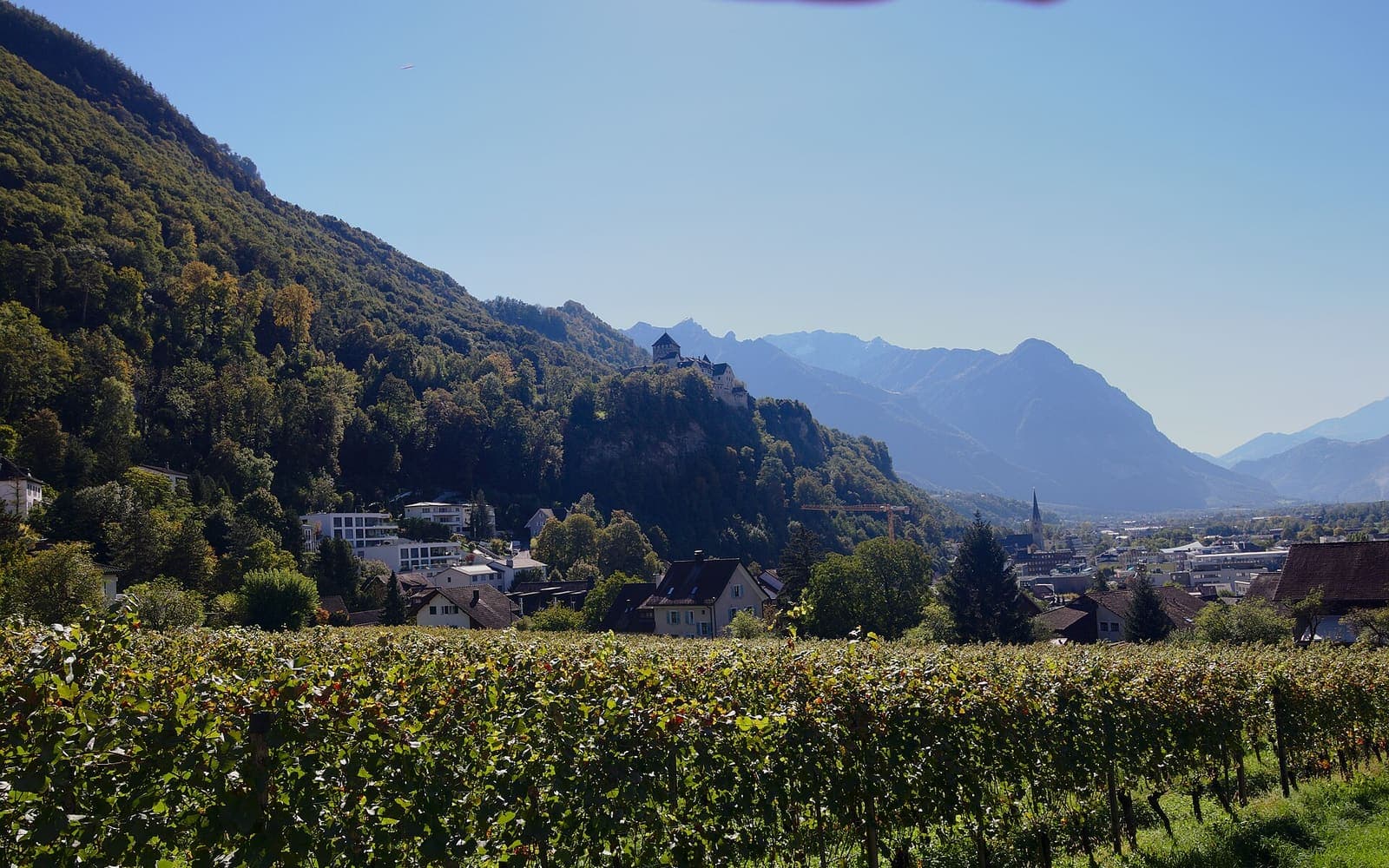 Vineyards in Vaduz with the mountains of the Rhine valley beyond