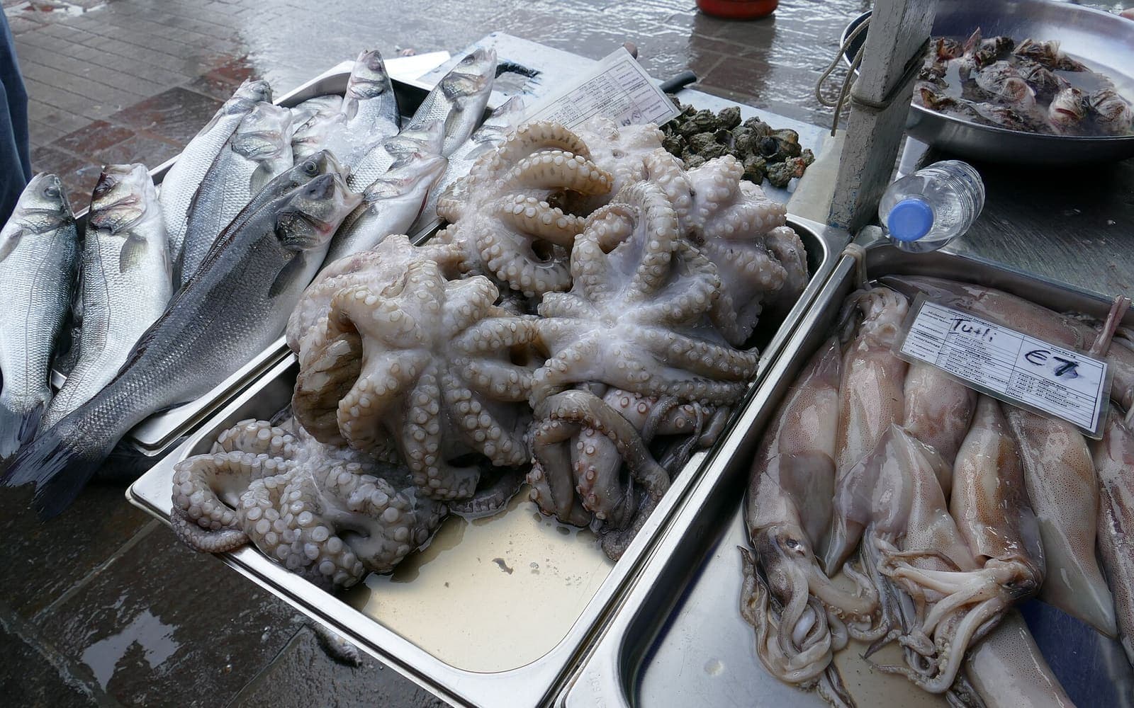 Octopus and fresh fish on a stall at the Marsaxlokk market