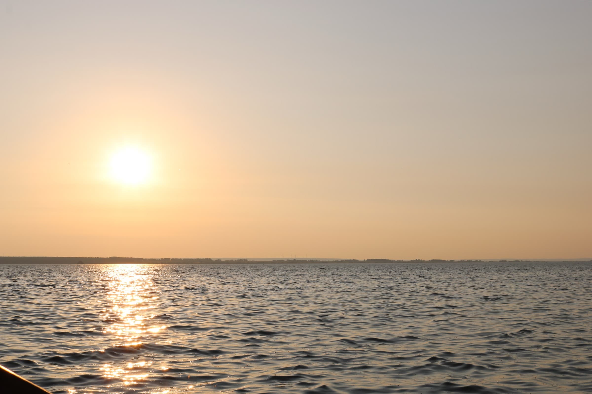 A calm Swedish pine-fringed lake with a wooden swimming jetty at sunset