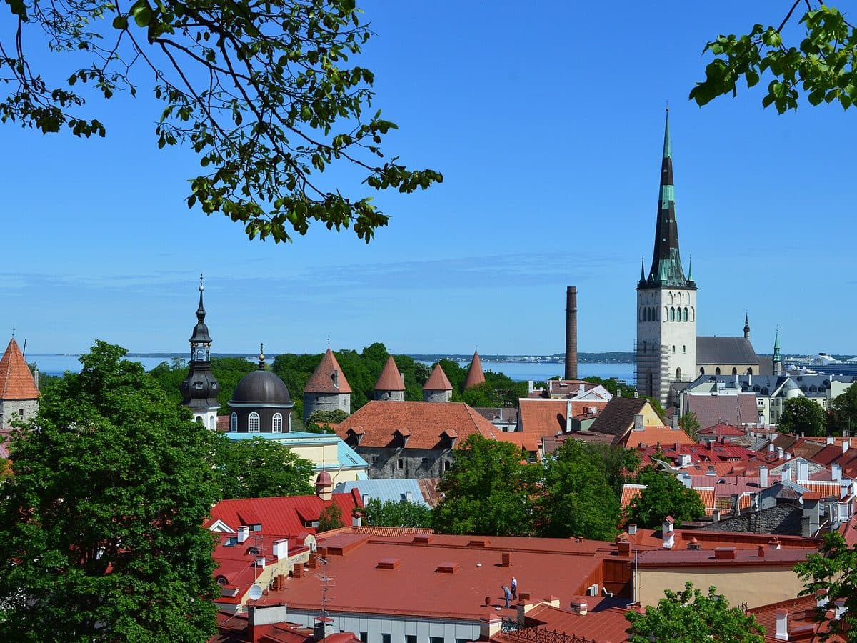 View across Tallinn's terracotta rooftops toward church spires and the sea